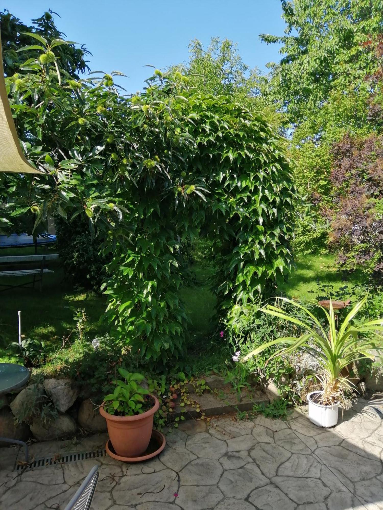 Apartamento "Kleine Hedwig" Putbus Exterior foto
